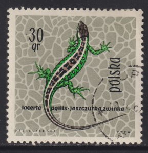 Poland 1134 Sand Lizard 1963