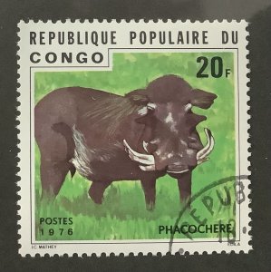 Congo 1976 Scott 377 CTO - 20fr,  Wildlife, warthog, Phacochoerus