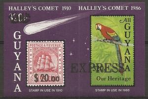 Guyana E5 EXPRESS on Halleys Comet NH
