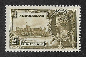 229,Mint Newfoundland