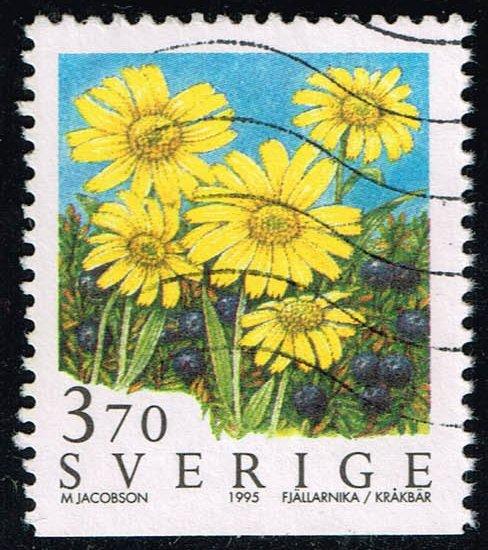 Sweden #2124 Alpine Arnica Flower; Used (0.60)