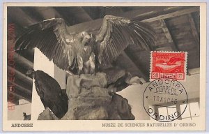 ad8719 - ANDORRA - POSTAL HISTORY - Maximum Card - 1946 Natural History Museum-