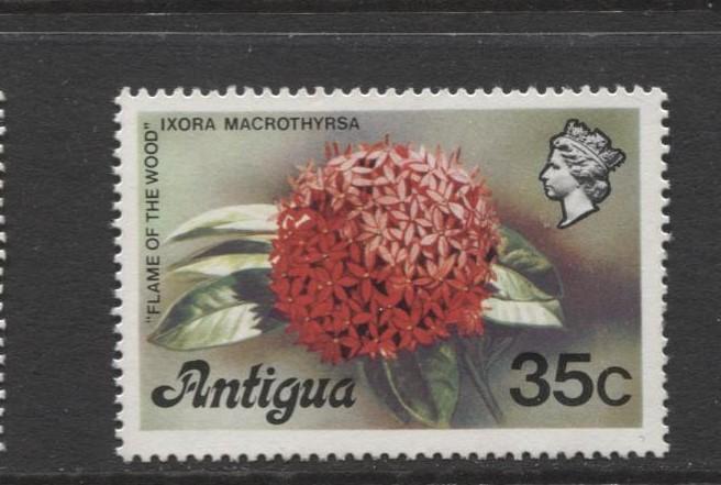 Antigua - Scott 416 - Flame of the Woods -1976 - MNH - 35c Stamp