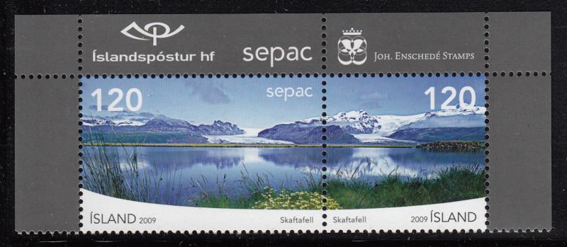 Iceland MNH 2009 Scott #1176 Pair 120k Skaftafell, Vatnajokull National Park