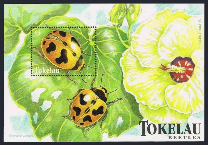 Tokelau 259,MNH.Michel 270 Bl.15. Beetles 1998:Coccinella repanda.