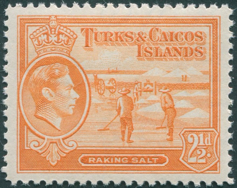 Turks & Caicos Islands 1938 2½d yellow-orange SG199 unused