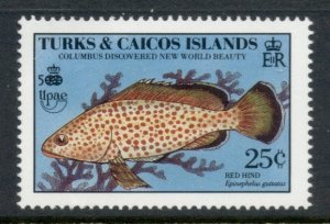 Turks & Caicos Is 1990 Marine Life, Fish 25c MUH