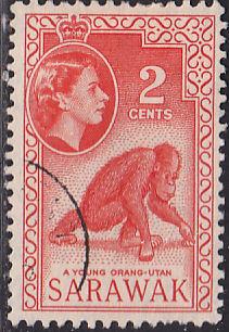 Sarawak 198 Hinged Used 1957 Young Orangutan