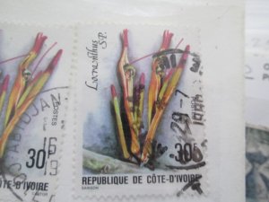 Ivory Coast #495 used  2025 SCV = $0.50