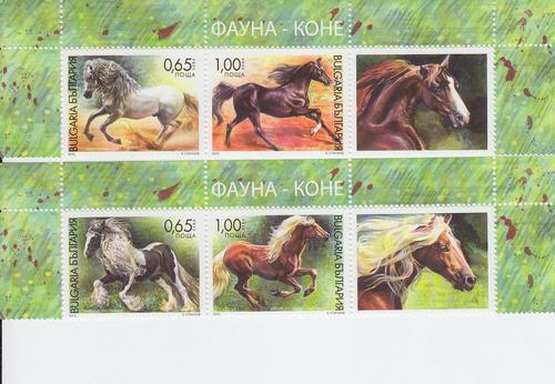 2013 Bulgaria Horses 2 Strips of 2 w/label (4616-17) MNH