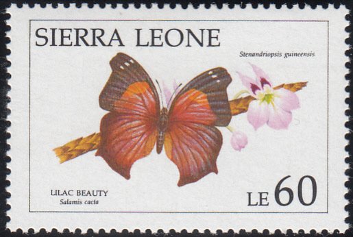 Sierra Leone 1991 MNH Sc #1400 60Le Lilac beauty Butterflies