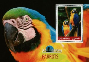 Parrots Stamp Birds Ara Ararauna Souvenir Sheet MNH #3269 / Bl.460