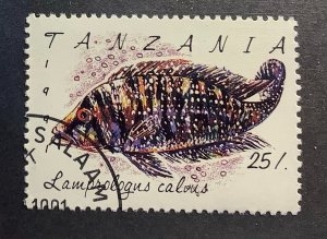 Tanzania 1991 Scott 818 CTO - 25sh, Fish,  Pearly Lamprologus