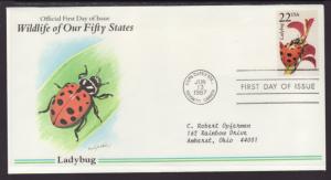 US Ladybug 1987 Typed FDC BIN
