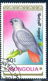 Bird, Parrot, Mongolia stamp SC#1899 used