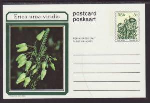 South Africa Flower  Postal Card Unused 