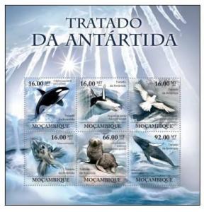 MOZAMBIQUE 2011 SHEET MNH ANTARCTICA PENGUIN SEAL WHALES BIRDS