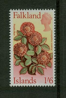 Falkland Islands 1968 1s.6d. Prickly burr flower, MNH