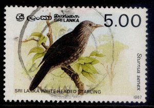 SRI LANKA QEII SG987B, 5c white headed starling 1987, FINE USED.