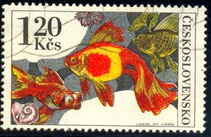 Aquarium Fish, Goldfish, Czechoslovakia SC#2010 used