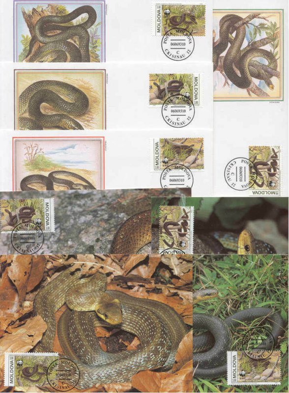 Moldova 8 FDC/cards WWF/Snakes 1993