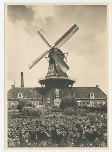 Postal stationery Netherlands 1946 Windmill - Roderwolde