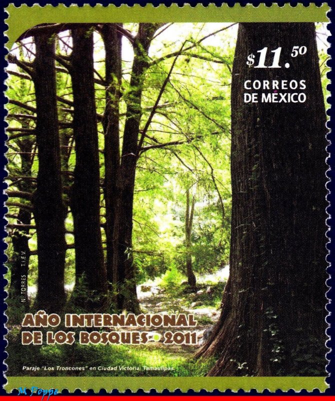 2741 MEXICO 2011 INTERNATIONAL FORESTS YEAR, TREES, NATURE, MNH