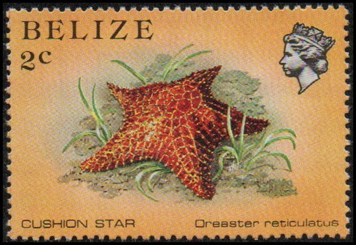 Belize 700 - Mint-NH - 2c Cushion Star (1984) (cv $1.75)