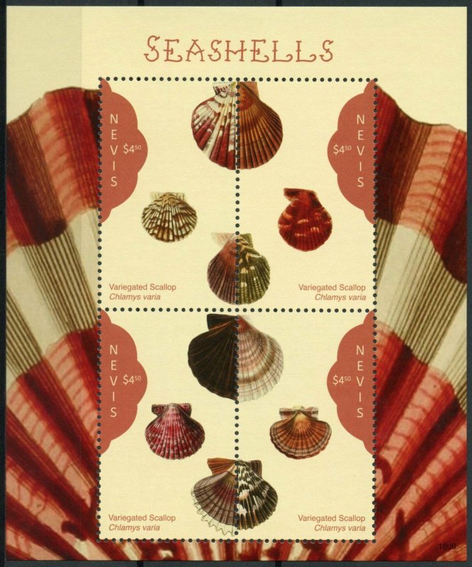 Nevis 2018 MNH Seashells Variegated Scallop 4v M/S Sea Shells Marine Stamps 