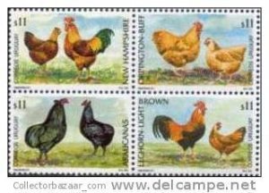 URUGUAY STAMP MNH chicken rooster hen