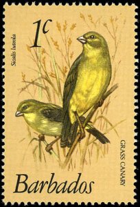 BARBADOS Sc 495 VF/MNH - 1979 1¢ Grass Canaries