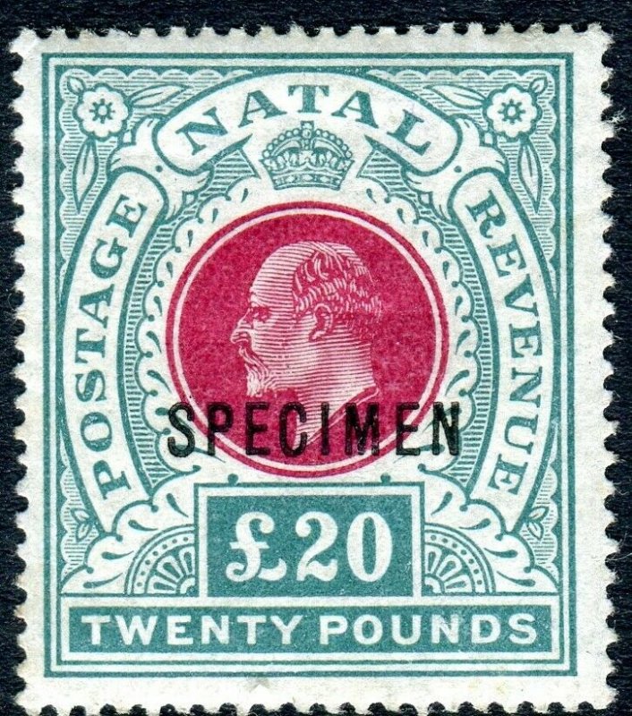 NATAL-1902 £20 Red & Green SPECIMEN OVERPRINT. A mounted mint example Sg 146bs