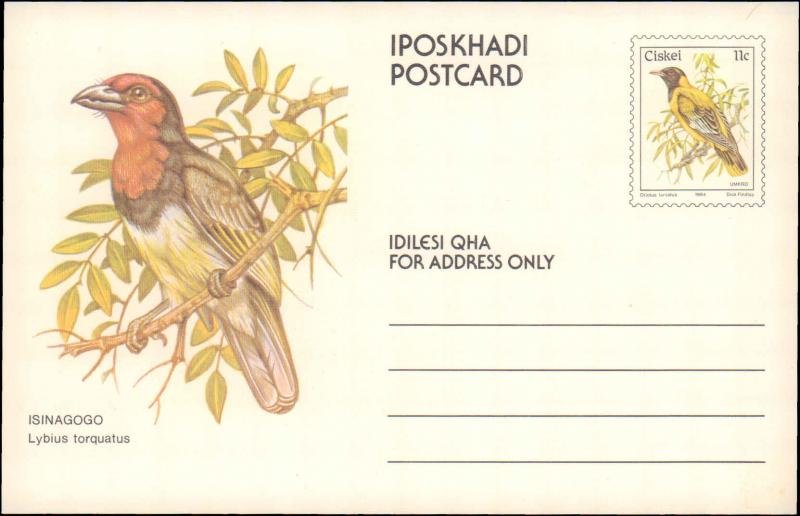 South Africa, Ciskei, Government Postal Card, Birds