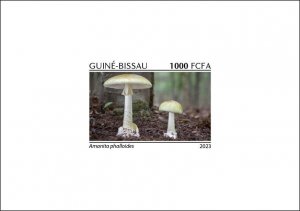 GUINEA BISSAU 2023 - DELUXE PROOF - MUSHROOMS MUSHROOM MUSHROOMS - MNH-