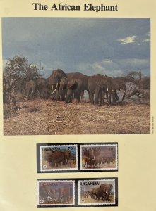 World WWF Wildlife FDC Covers Postcards Stamps(25 Items) MK8482