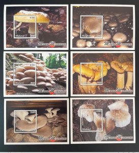 2018 Malawi Mi. Bl. 140 - 145 Mushroom Mushrooms Mushrooms MNH-