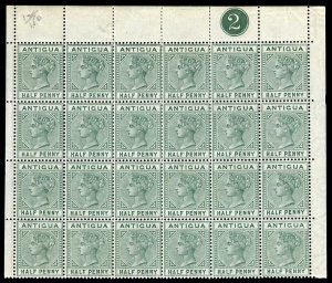 Antigua 1882 QV ½d dull green Plate 2 block of 24 (6x4) MNH. SG 21,21a.