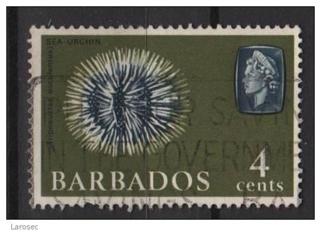 Barbados 1965 - Scott 270 used - 4c, Sea Urchin 