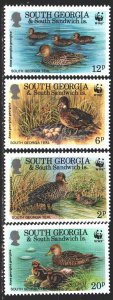 Falkland Islands. 1992. 203-6. Ducks, WWF. MNH.