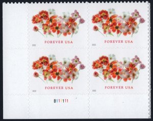 SC#5681 (Forever) Tulips Plate Block: LL #B111111 (2022) SA