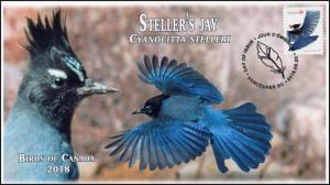 CA18-049, 2018, Birds of Canada, Pictorial, FDC, Steller's Jay