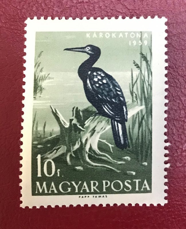 1959 Hungary Sc 1233 MNH 10f Great Comorant Cv.25 Lot 3968