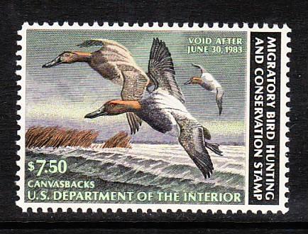 US Duck Stamp RW49 MNH  VF