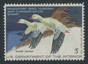 USA RW44 - 1977 Federal Duck Stamp - VF Mint never hinged