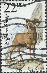 # 2288 USED BIGHORN SHEEP