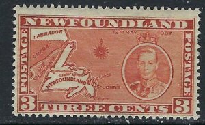 Newfoundland 234 MNH 1937 issue (ak3262)