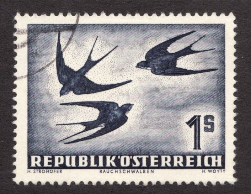 1953 Austria - Sc# C55 (air mail) - 1S, Birds. Used Cv$15
