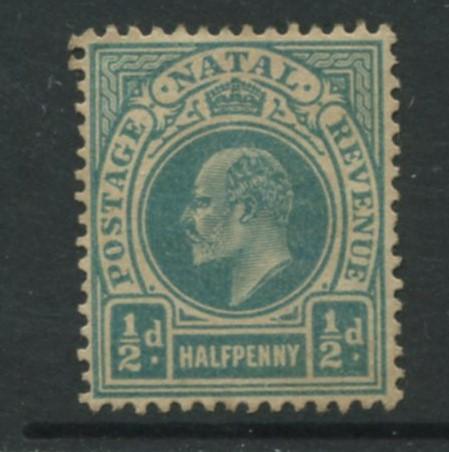 Natal - Scott 101 - KEVII Definitive Issue -1904 - MNG - Single 1/2p  Stamp