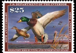 COLOR PRINTED USA FEDERAL DUCK 1934-2019 STAMP ALBUM PAGES (45 illustr. pages)