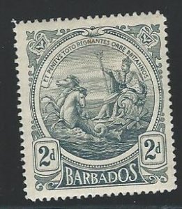 Barbados mh gum has a light tone S.C.#   130